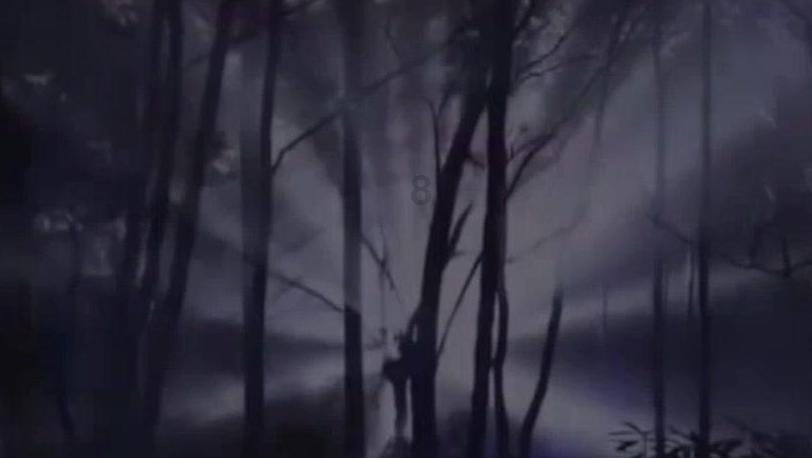 虎胆熊威2中文版